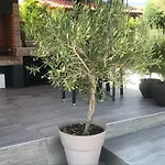 Prázdninový dům Terra Homes-marigold *