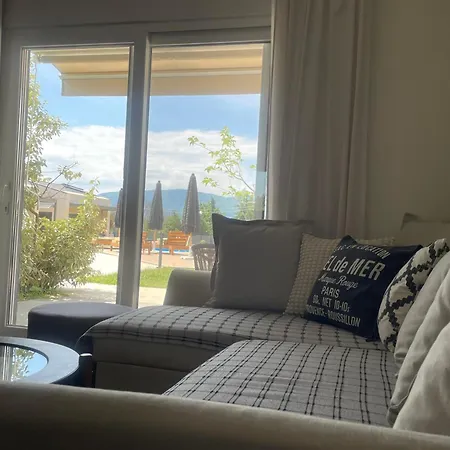 Terra Homes-marigold